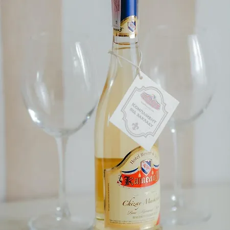 Hotel Resort&spa Kamelot