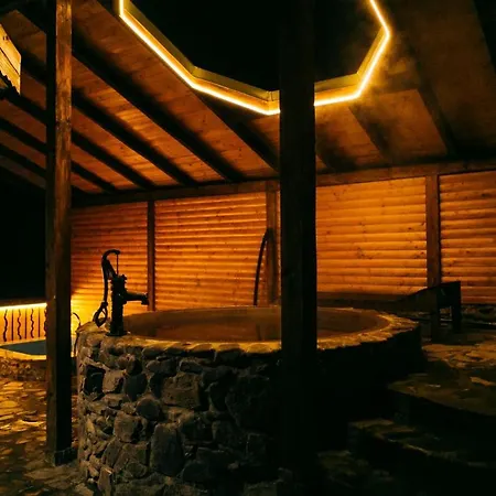 Отель Resort&spa Kamelot Каменица