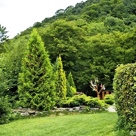 Hotel Resort&spa Kamelot 5*