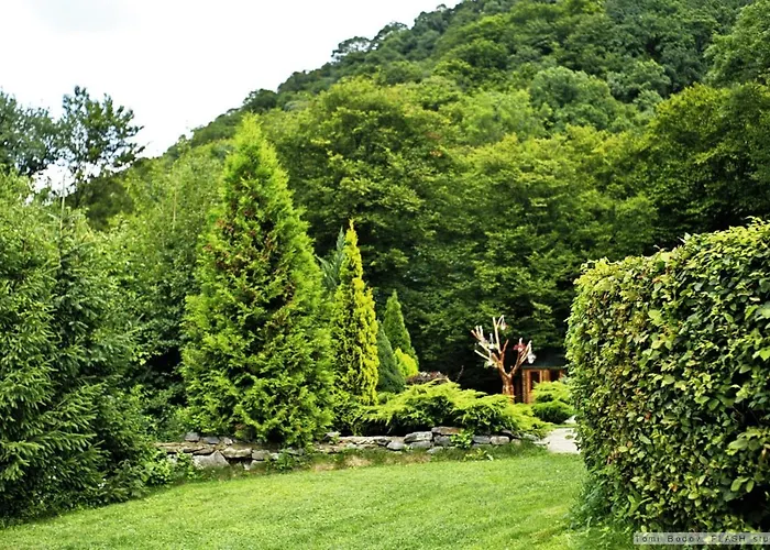 Ξενοδοχείο Resort&spa Kamelot 5*